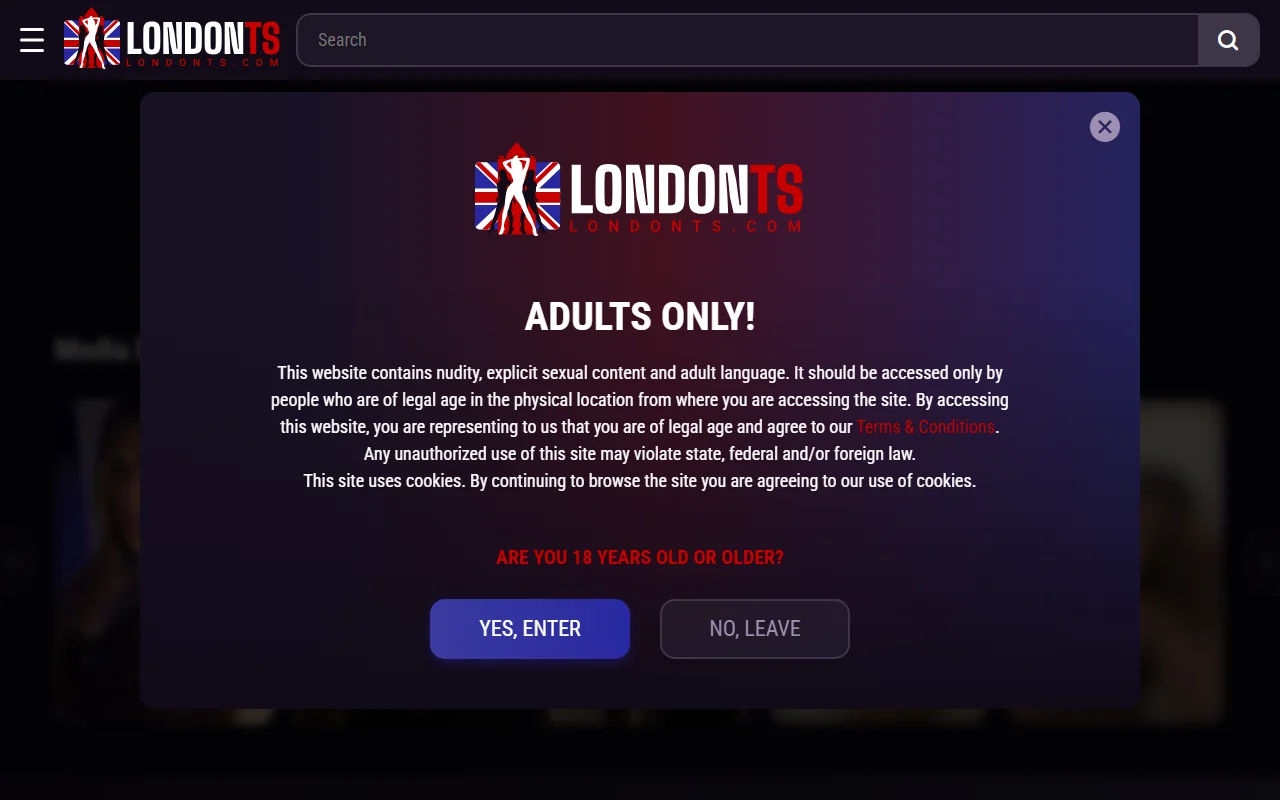 Screenshot: Londonts Screenshot of Londonts